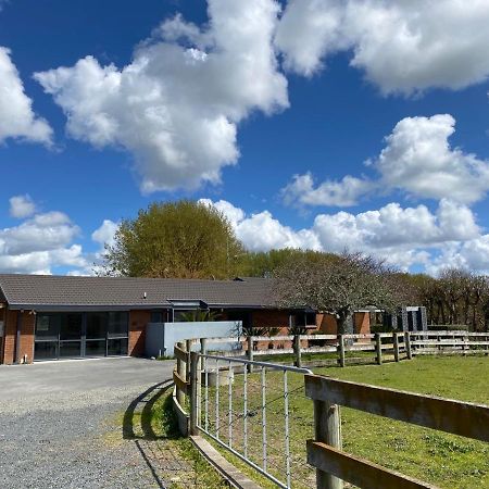Bed and Breakfast Unique Equestrian Lifestyle Tamahere Exterior foto