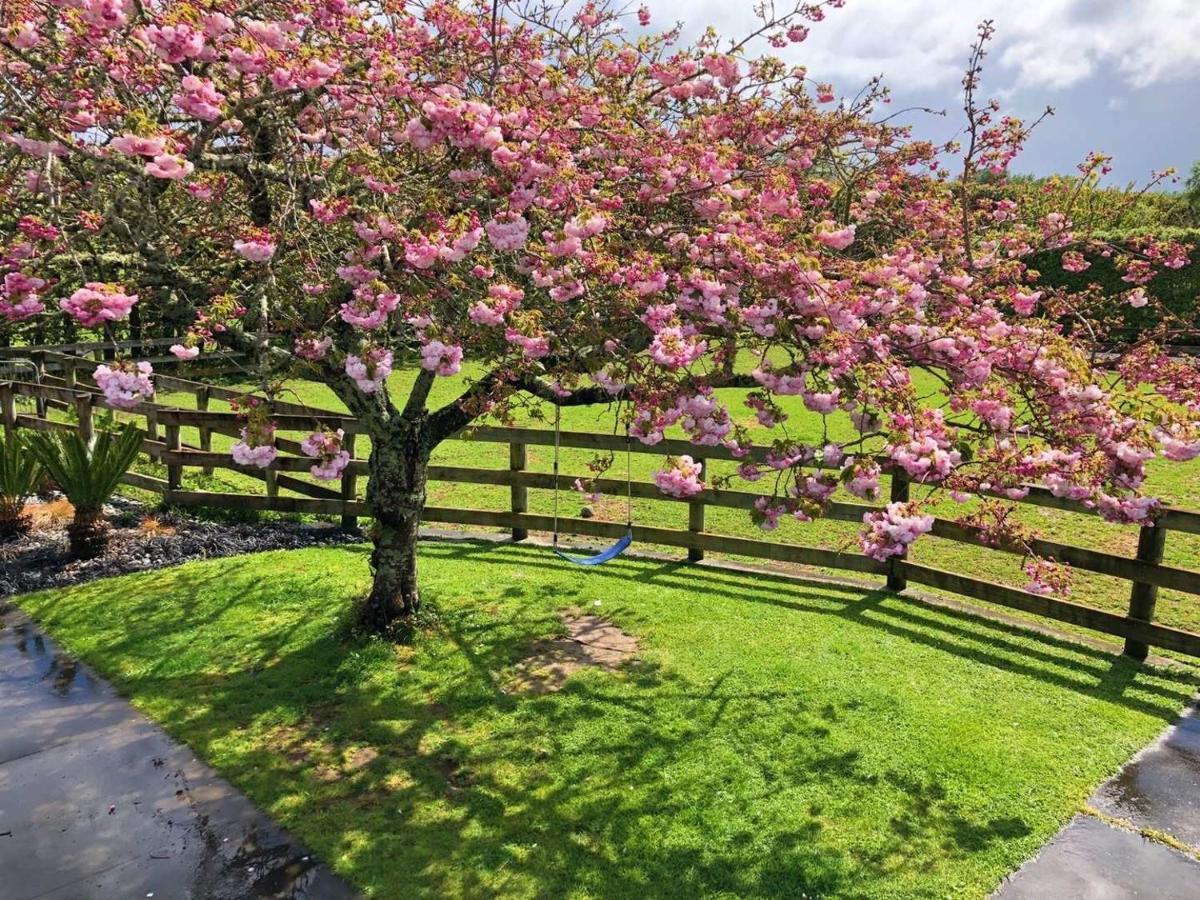 Bed and Breakfast Unique Equestrian Lifestyle Tamahere Exterior foto