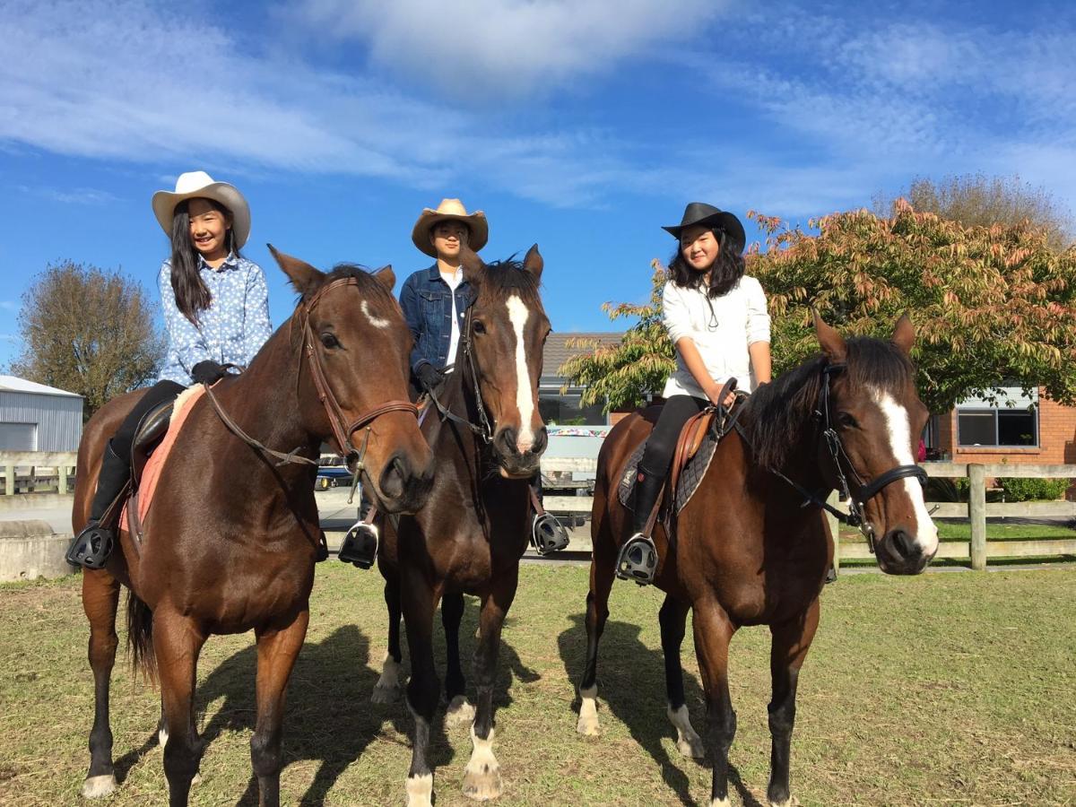 Bed and Breakfast Unique Equestrian Lifestyle Tamahere Exterior foto